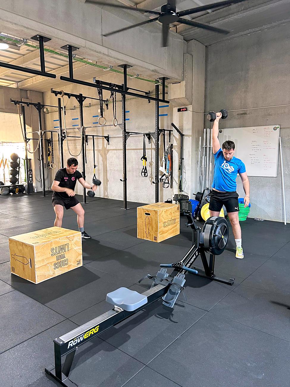 Alumnos entrenando fuerza con mancuernas y cajones